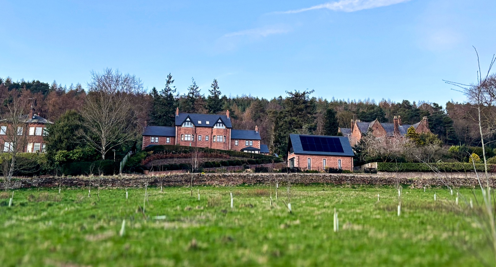 Mulberry Gardens